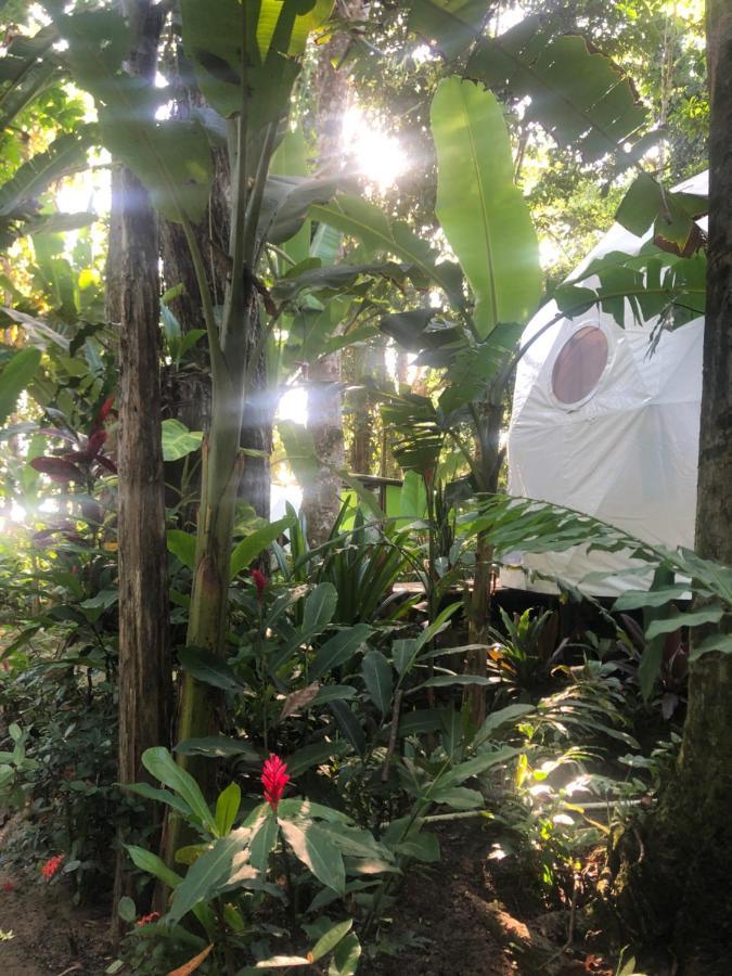 Hotel Faith Glamping Dome Costa Rica Manzanillo  Exterior foto