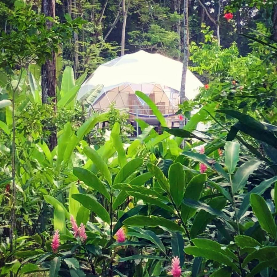 Hotel Faith Glamping Dome Costa Rica Manzanillo  Exterior foto