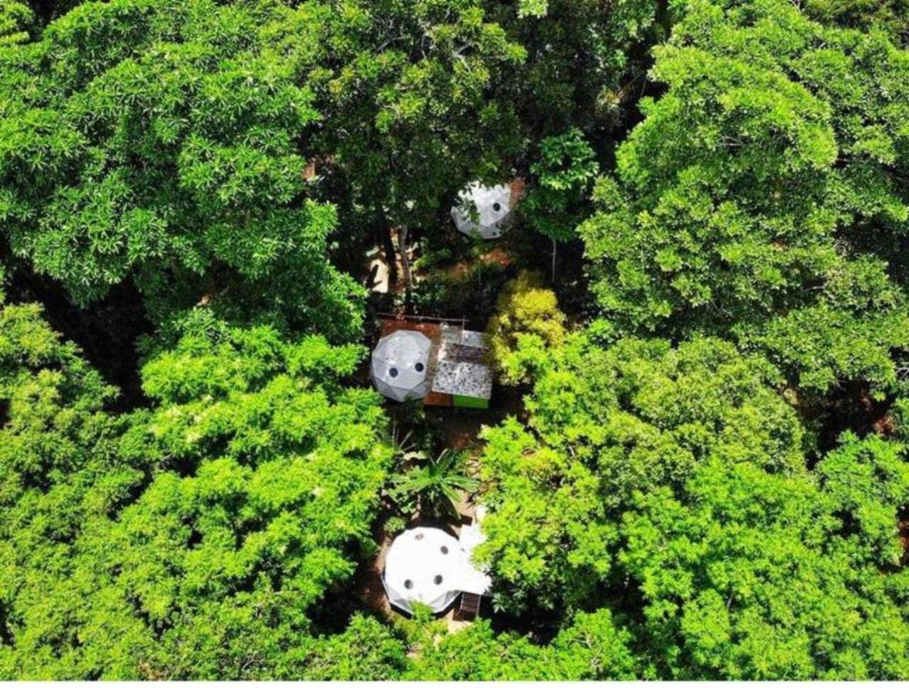 Hotel Faith Glamping Dome Costa Rica Manzanillo  Exterior foto